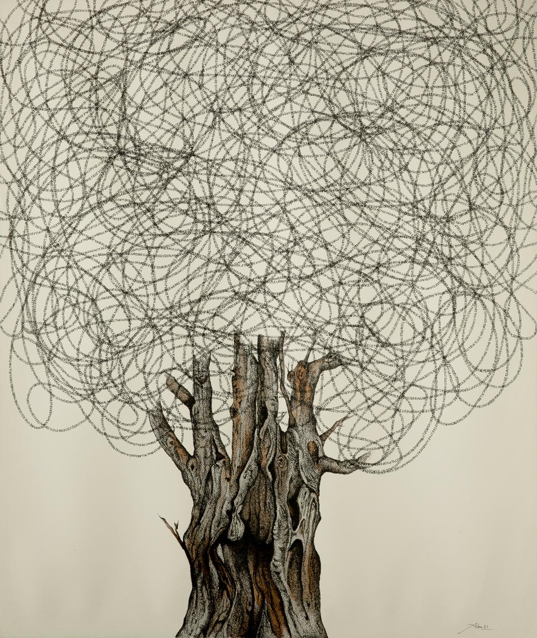 Notes from nature