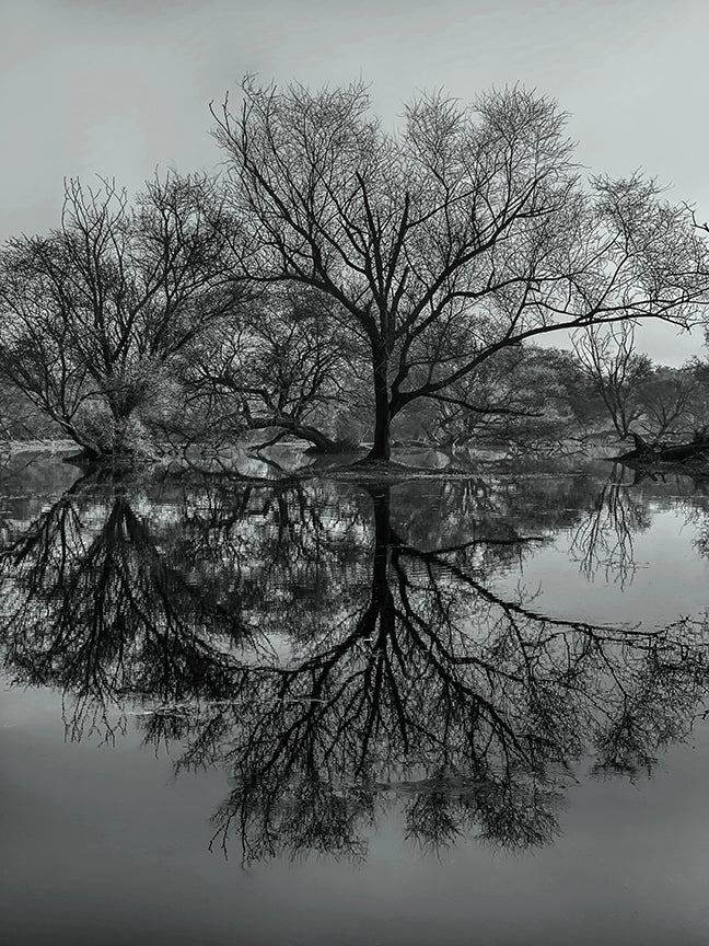 Bharatpur