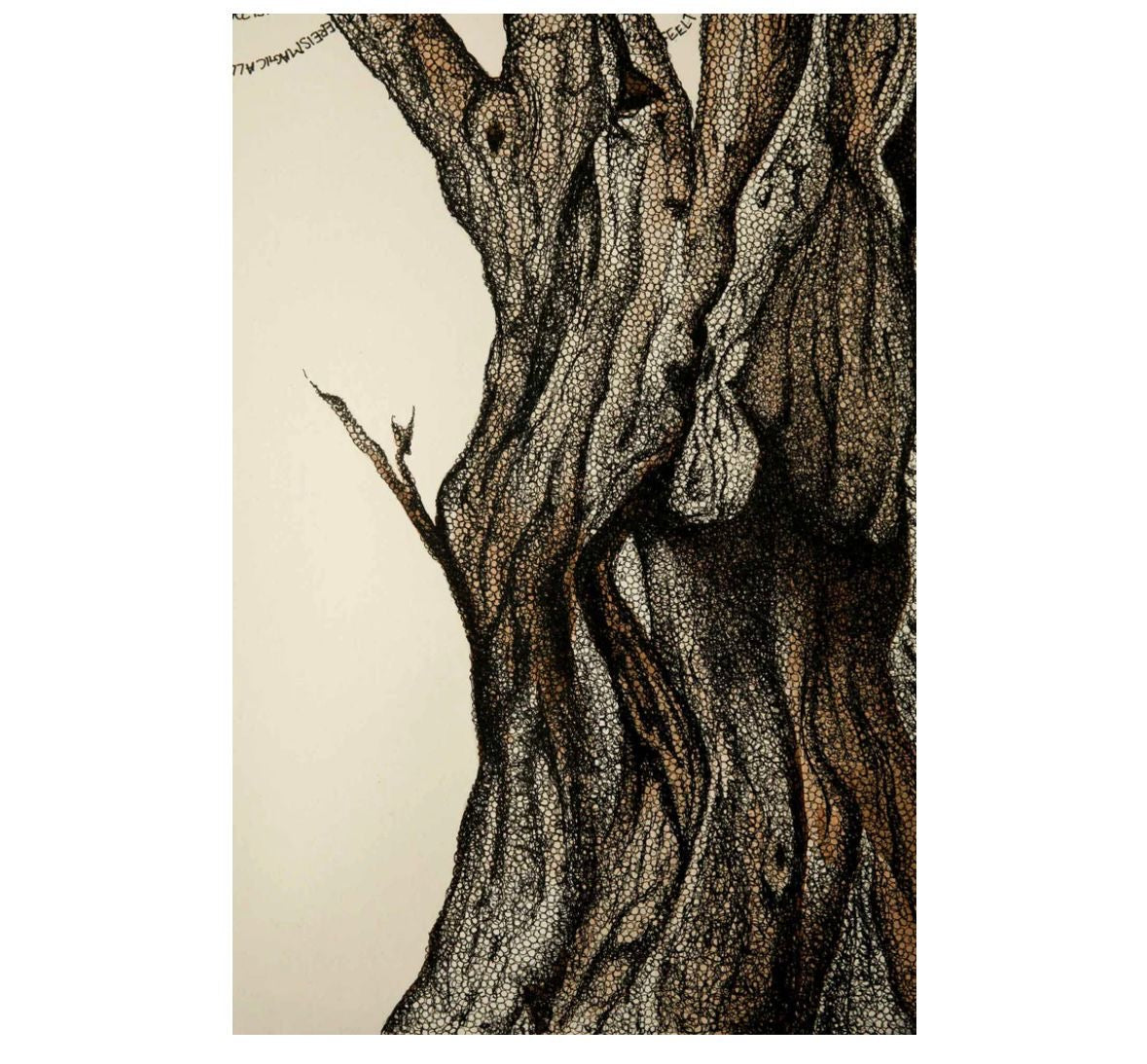 Notes from nature