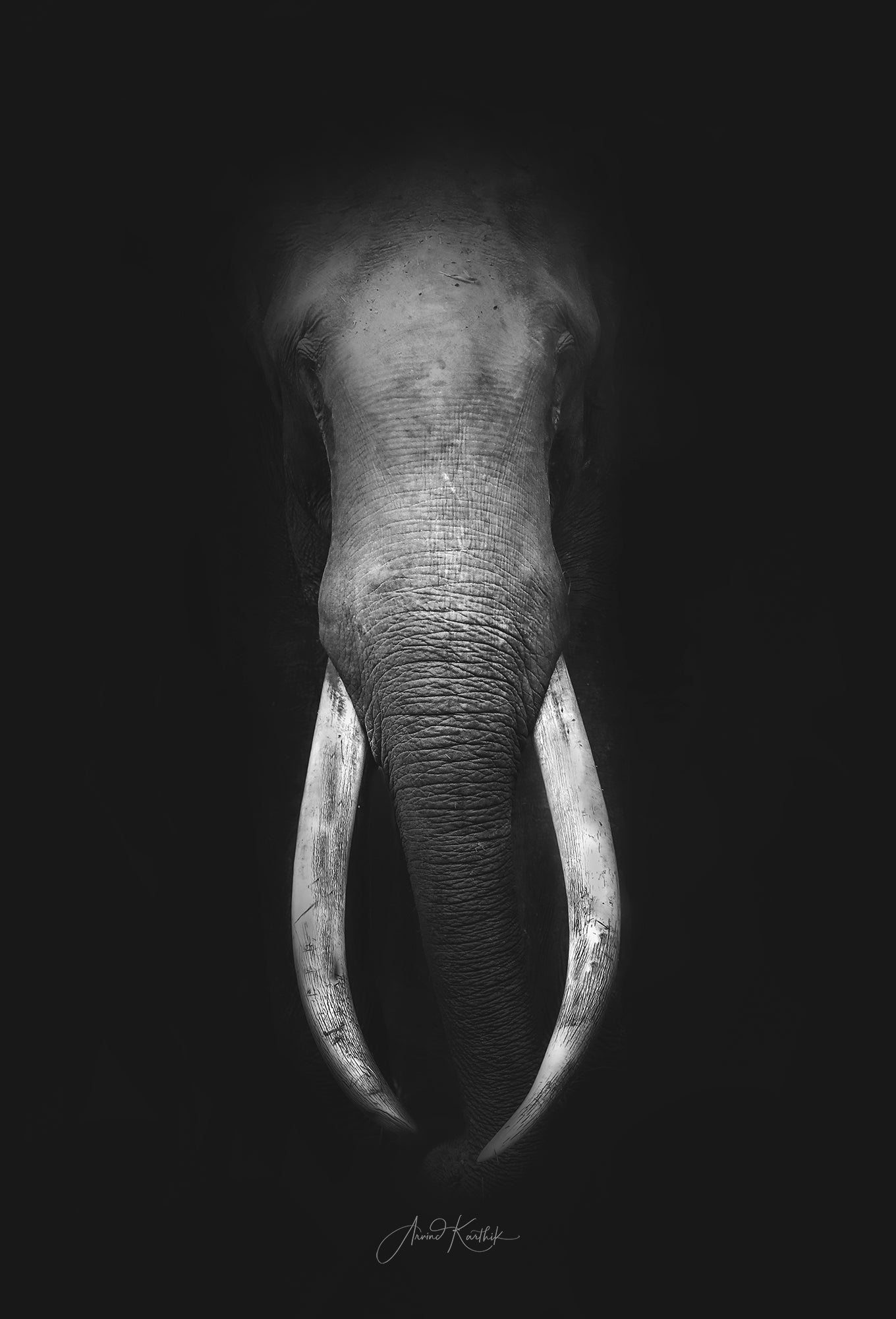 Nature's greatest masterpiece