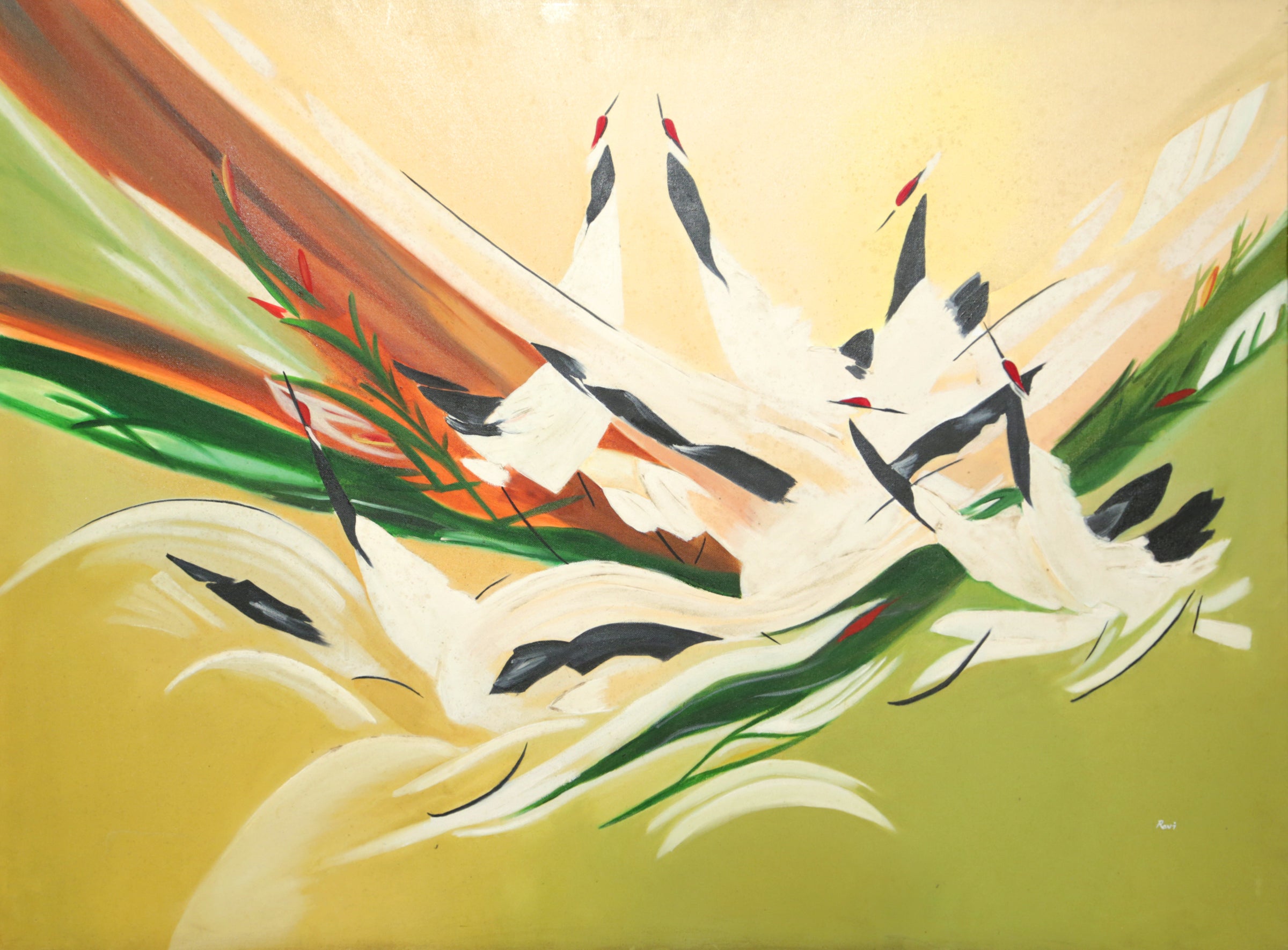 Birds