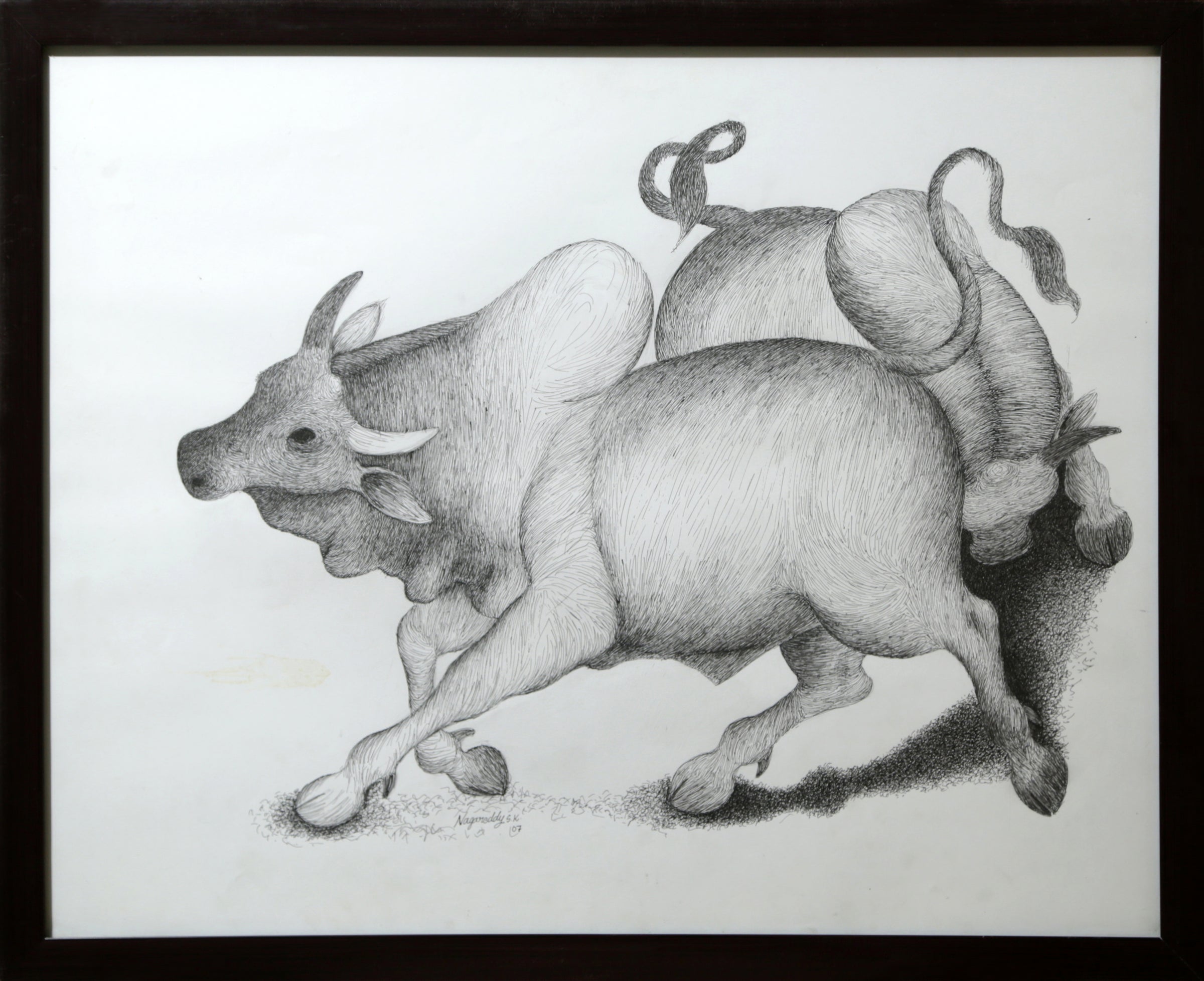 Bulls at Play